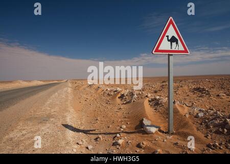 La Tunisie, Ksour, Ksar Ghilane, route de l'oléoduc avec camel crossing sign Banque D'Images