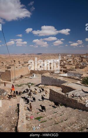 La Tunisie, Ksour, Toujane, village berbère, le long de la route C 104 Banque D'Images