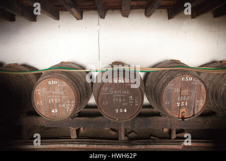 'Ancienne cave à vin à Funchal, Portugal, Madère, Funchal ; cave à vin ; cave à vin ; tourisme ; tourisme ; canon ; baril, tonneaux de vin, vieux, vieux", alter Nous Banque D'Images