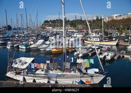 'Sports Boat Harbour à Funchal, Portugal, Madère, Funchal, le tourisme, tourisme, port, Port, quais, les bateaux de sport, les bateaux à voile, bateaux à voile, laund Banque D'Images