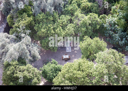 Restaurant en forêt entouré d'oliviers et d'orangers avec une table et quatre charès dans le centre et de tapis sur le plancher Banque D'Images