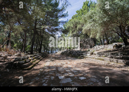 Rue pavée de la ville antique de Phaselis situé dans une forêt de pins à Antalya Turquie Banque D'Images