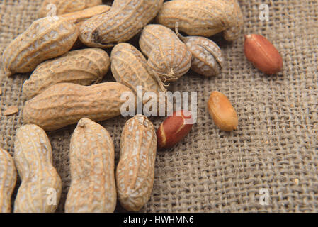 Close up peanut dans le shell et sans coquille sur un fond de jute. L'alimentation saine Banque D'Images