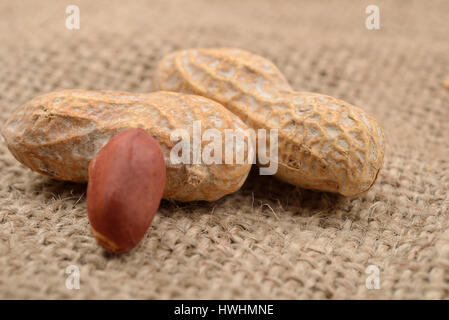 Close up peanut dans le shell et sans coquille sur un fond de jute. L'alimentation saine Banque D'Images