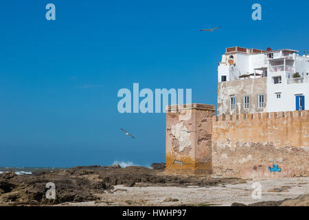 Port d'Essaouira au Maroc, vue sur l'architecture ancienne et mur de la ville à l'océan. Ciel bleu avec des mouettes. L'orientation horizontale Banque D'Images