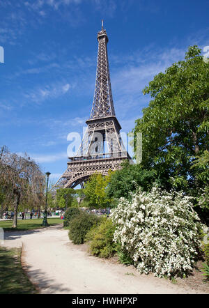 La Tour Eiffel avec des fleurs blanches sur la vue avant, Paris, avril 2014 Banque D'Images