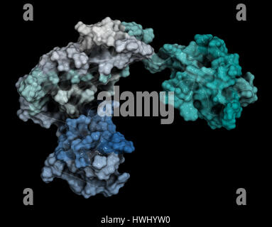 La streptokinase molécule d'enzyme. À partir de la protéine Streptococcus bactéries qui est utilisé comme un médicament thrombolytique. Caricature combinée avec une représentation semi-tran Banque D'Images
