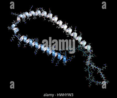 La protéine alpha-synucléine. Peut jouer un rôle dans les maladies de Parkinson et d'Alzheimer. Cartoon & stick représentation avec gradient de backbone de coloration. Banque D'Images