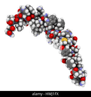 Le polypeptide inhibiteur gastrique (GIP, glucose-dependent insulinotropic peptide) protéine endocrinien hormone. 3D illustration. Comme avec les sphères d'atomes Banque D'Images