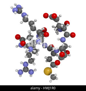 Hexapeptide acétyl-3 argireline (molécule). Le rendu 3D. Fragment peptidique de la SNAP-25. Utilisé en cosmétique pour traiter les rides. Les atomes sont représentés comme des Banque D'Images