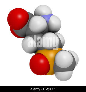 Glufosinate (herbicide non sélectif) de la phosphinothricine molécule. Le rendu 3D. Les cultures transgéniques (OGM) ont été créés qui sont résistantes à l'glufosin Banque D'Images