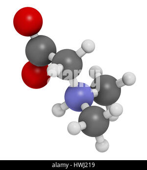 Dimethylglycine (DMG) molécule. Le rendu 3D. Dérivés méthylés de glycine, utilisé dans les suppléments alimentaires améliorant la performance. Les atomes sont rep Banque D'Images