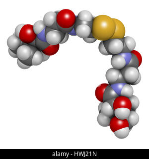 Pantethine (dimère de la vitamine B5). Le rendu 3D. Utilisé dans les suppléments alimentaires. Les atomes sont représentés comme des sphères classiques avec codage couleur : Banque D'Images