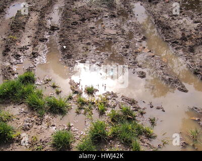 Flaque de boue après de fortes pluies dans un parc public, de l'Australie 2016 Banque D'Images