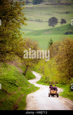 Trois agriculteurs sur l'ancienne en bois Panier sur leur chemin en Transylvanie, Roumanie Banque D'Images