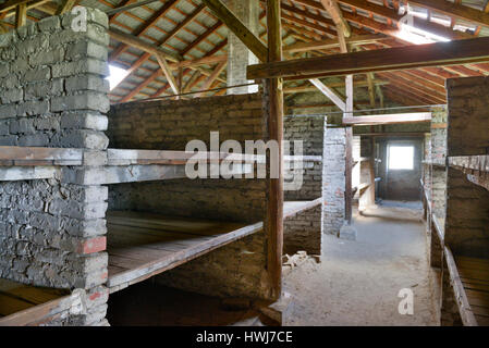 Konzentrationslager Auschwitz-Birkenau Baracke,,, Auschwitz, Polen Banque D'Images