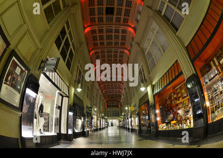 Maedlerpassage, Leipzig, Saxe, Allemagne, dlerpassage¤MÃ Banque D'Images