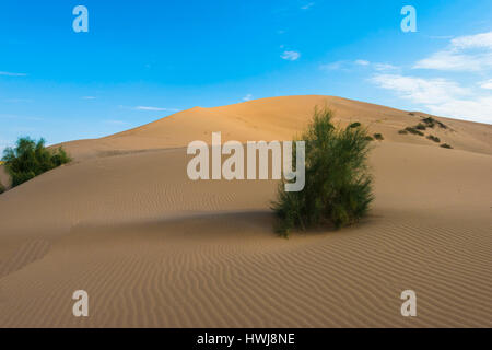 Le chant des dunes, Altyn-Emel National Park, région d'Almaty, Kazakhstan, en Asie centrale, Asie Banque D'Images