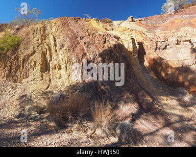 Bordée d'arbres et mur ocre dans le ruisseau à sec à la McDonnell Ranges, Alice Springs, Australie, juillet 2015 Banque D'Images