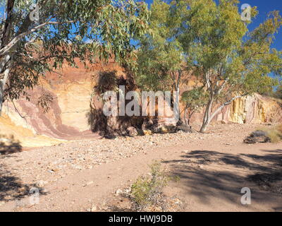 Bordée d'arbres et mur ocre dans le ruisseau à sec à la McDonnell Ranges, Alice Springs, Australie, juillet 2015 Banque D'Images