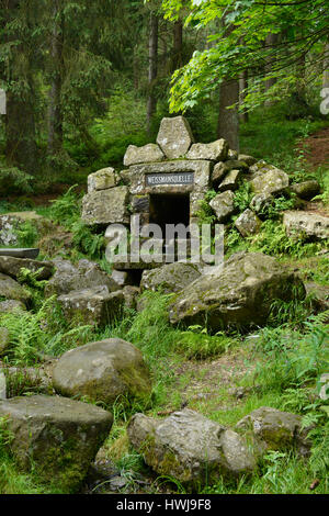 Weissmainquelle, Ochsenkopf, Fichtelgebirge, Oberfranken, Bayern, Deutschland Banque D'Images