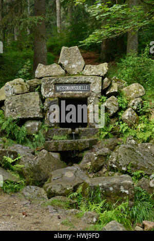 Weissmainquelle, Ochsenkopf, Fichtelgebirge, Oberfranken, Bayern, Deutschland Banque D'Images