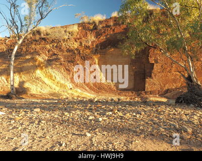 Bordée d'arbres et mur ocre dans le ruisseau à sec à la McDonnell Ranges, Alice Springs, Australie, juillet 2015 Banque D'Images