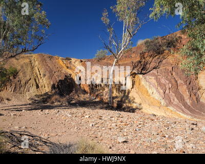 Bordée d'arbres et mur ocre dans le ruisseau à sec à la McDonnell Ranges, Alice Springs, Australie, juillet 2015 Banque D'Images