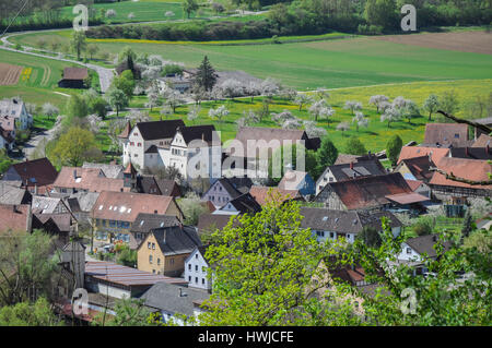 Dans Rosengarten-Tullau Rosengarten-Tullau, printemps, Route de santiago Swabian-Franconian, Forêt, Schwaebisch Hall, région Hohenlohe, Bade-Wurtemberg, Allemagne, Heilbronn-Franconia Banque D'Images