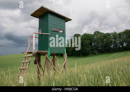 Stand de chasse, Pfaffenhofen, vallée de l'ILM, Bavière, Allemagne Banque D'Images