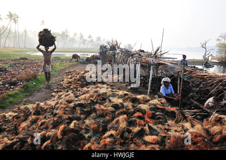 A worker   taking coconut husks  [outer layer skin removed] to coir factory. Banque D'Images