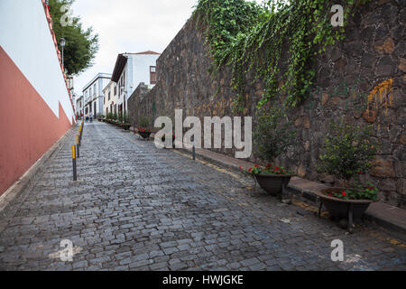 Mur est dans rue étroite près de la Iglesia Mayor de San Marcos avec arbre Dracaena draco. Icon de los Vinos ville, Tenerife, Espagne, Banque D'Images