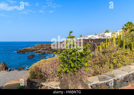 Plantes tropicales sur les côtes de l'océan le long de la promenade de San Juan, ville de l'île de Ténérife, Espagne Banque D'Images