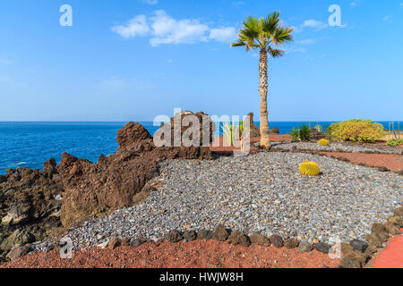 Plantes tropicales sur les côtes de l'océan le long de la promenade de San Juan, ville de l'île de Ténérife, Espagne Banque D'Images