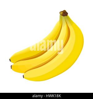 La banane. Les bananes mûres isolé sur fond blanc Illustration de Vecteur