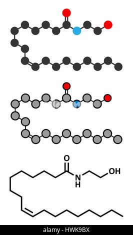 Oleoylethanolamide (OEA) de la prolifération des peroxysomes endogène-activated receptor alpha (agoniste PPAR-α) molécule. Les rendus 2D stylisée et conventiona Illustration de Vecteur