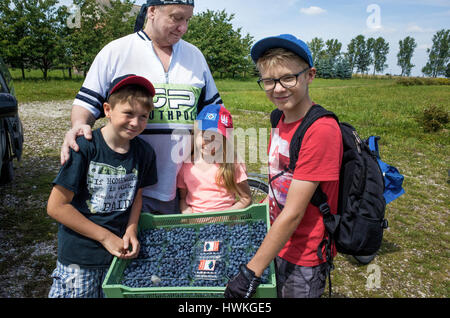 Bleuetière - grand-père, 59 ans, petits-fils de 12 ans et 10 et petite-fille de 8 ans la tenue d'une caisse. Zawady Europe centrale Pologne Banque D'Images