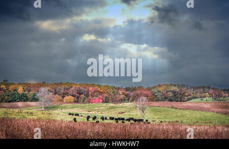 Ferme du Maryland en automne avec les couleurs de l'automne et l'arrivée d'une tempête Banque D'Images