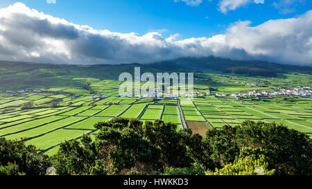 Rétro-éclairé à contraste élevé de champs de ferme dans l'île Terceira, Açores Banque D'Images