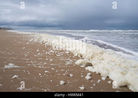 Écume de mer néerlandais au littoral de la mer du Nord Banque D'Images