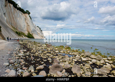 Les falaises blanches de Mons Klint au Danemark Banque D'Images