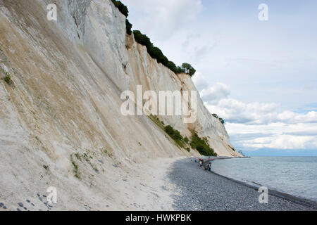 Les falaises blanches de Mons Klint au Danemark Banque D'Images