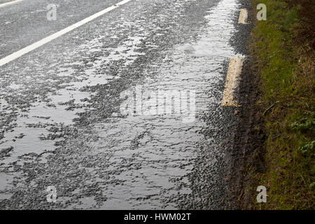 Bord de la route sur une route rurale irlandaise du comté de Sligo Banque D'Images