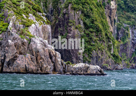 Envahies par les roches de la végétation dans les Milford Sound sur l'île du sud de la Nouvelle-Zélande Banque D'Images