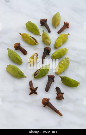 Belles gousses de cardamome et de girofle sur le dessus de marbre de Carrara et coutertop Banque D'Images