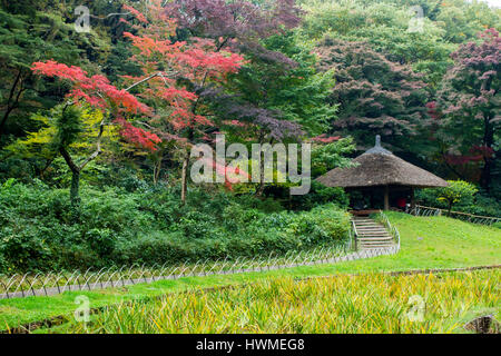 Jardins intérieurs de Meiji Jingu, un des plus célèbres et importants temples à Tokyo, Japon. Banque D'Images