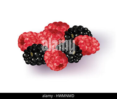 Fruits des champs sur fond blanc Banque D'Images