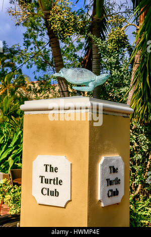 Tortue en bronze sur le dessus d'un soubassement à la Turtle Club au centre-ville de Punta Gorda, Floride Banque D'Images