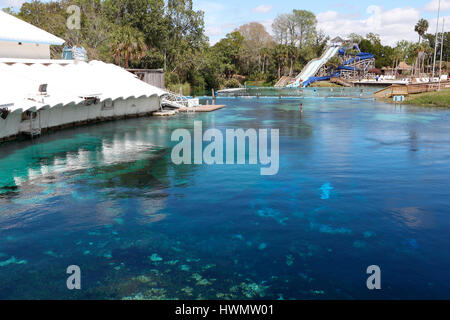 Weeki Wachee Springs State Park, FL Banque D'Images