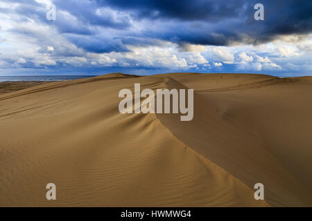 Dunes de sable de Stockton Beach au coucher du soleil sous d'épais nuages lourds face à l'océan pacifique. Masse de sable érodé avec motif structuré formé par les vents. Banque D'Images